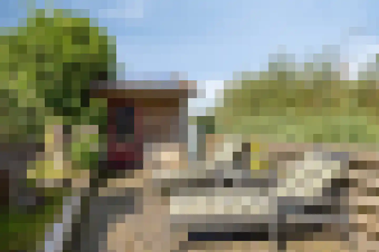 Eckhartstraat 38 Groningen thumbnail 49