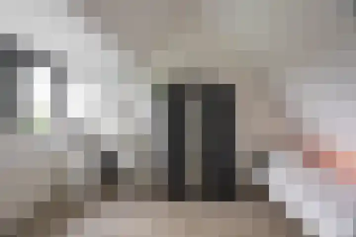 Eckhartstraat 58 Groningen thumbnail 41