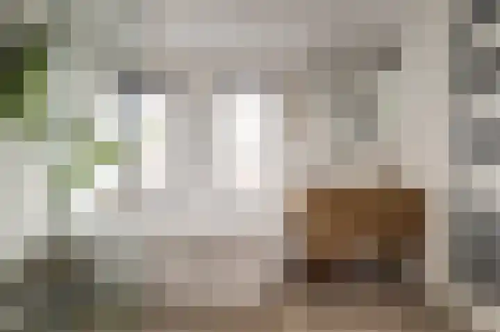 Eckhartstraat 59 Groningen thumbnail 30