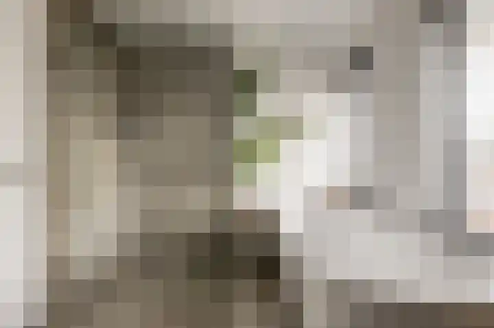 Eckhartstraat 59 Groningen thumbnail 31