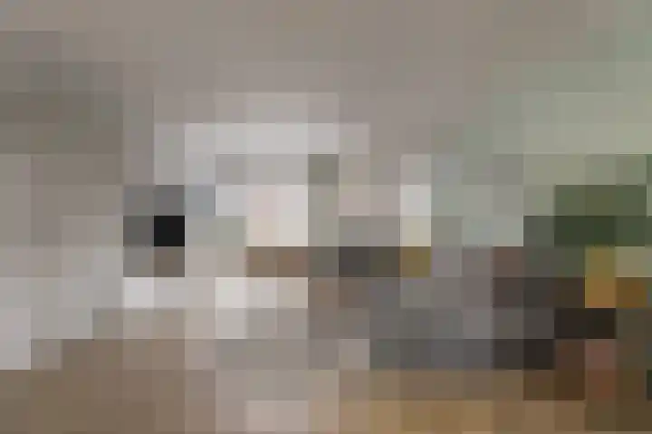Eckhartstraat 59 Groningen thumbnail 7