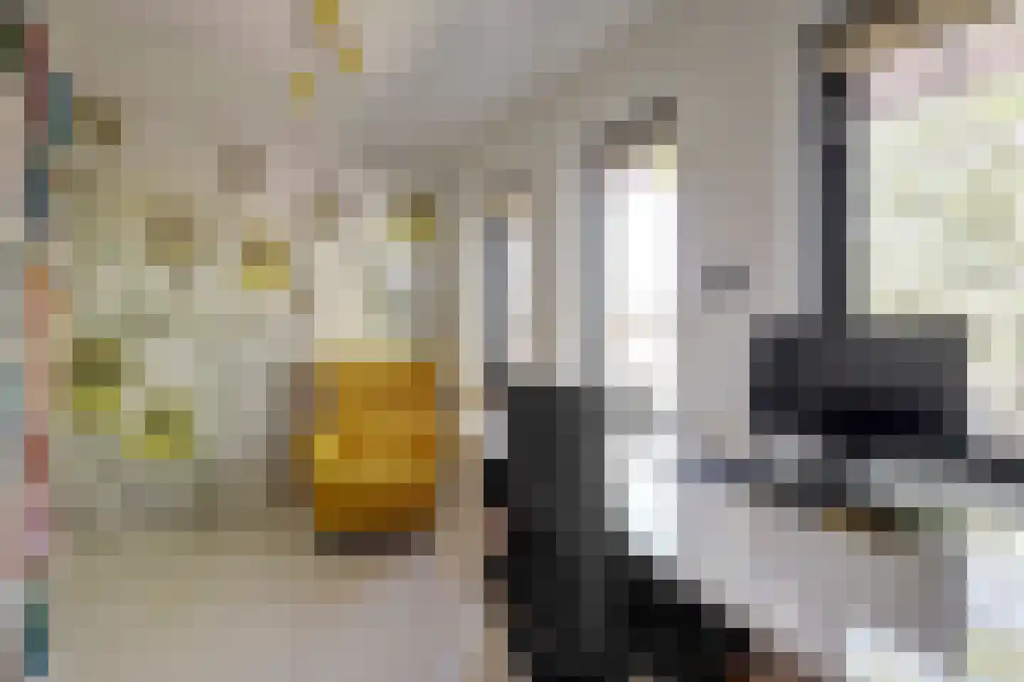 Eckhartstraat 85 Groningen thumbnail 28