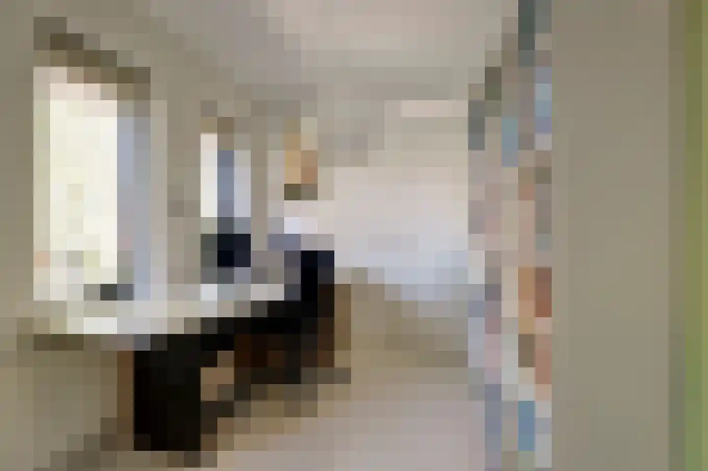 Eckhartstraat 85 Groningen thumbnail 29