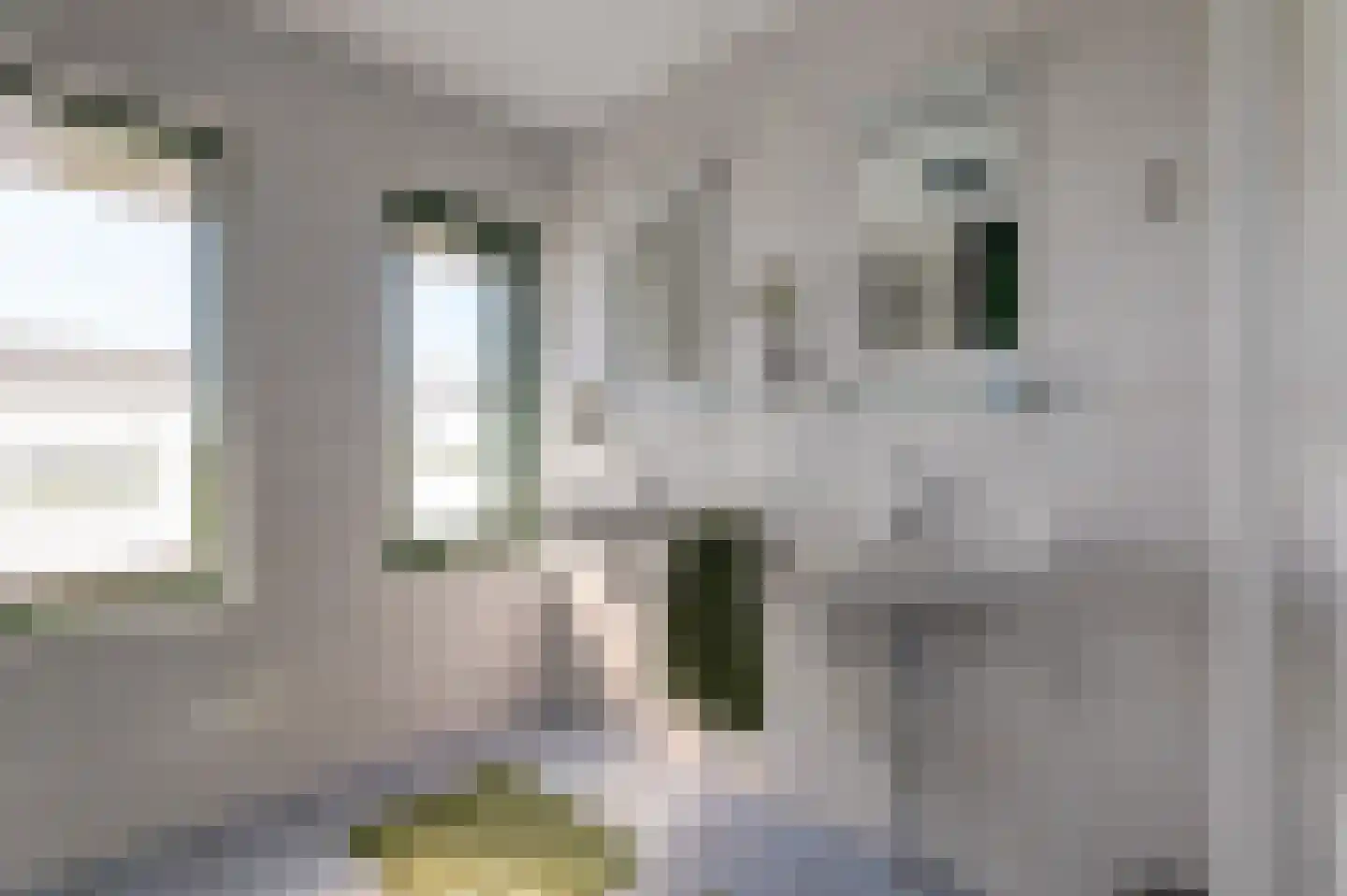 Eckhartstraat 85 Groningen thumbnail 31