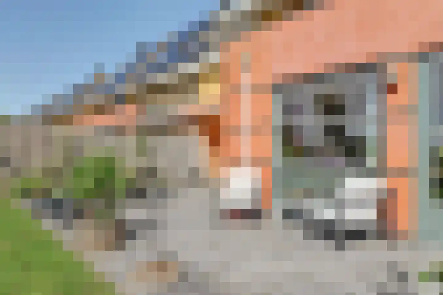 Eckhartstraat 85 Groningen thumbnail 40