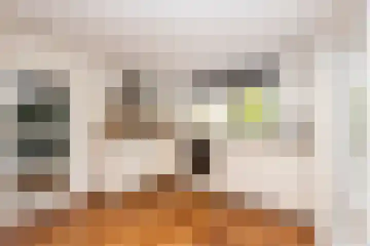 Ecliptica 31 Loon op Zand thumbnail 16