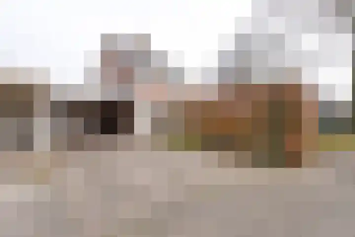 Ecliptica 31 Loon op Zand foto 3