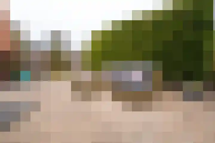 Ecliptica 31 Loon op Zand thumbnail 37