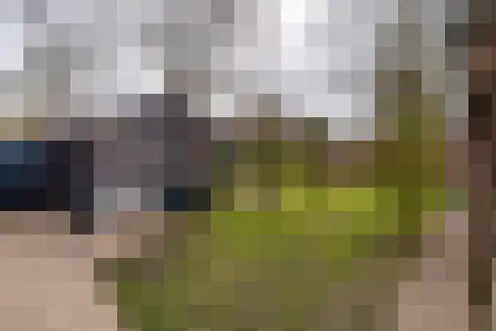 Ecliptica 31 Loon op Zand thumbnail 41
