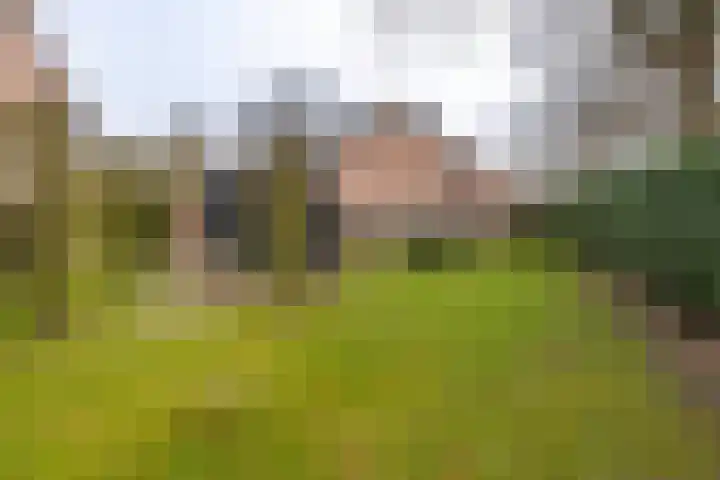 Ecliptica 31 Loon op Zand thumbnail 44
