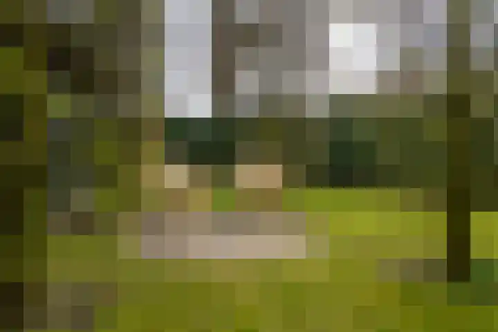 Ecliptica 31 Loon op Zand thumbnail 45