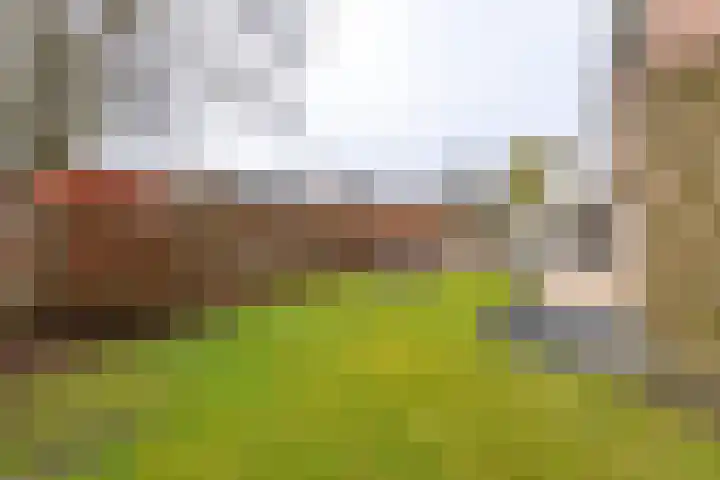 Ecliptica 31 Loon op Zand thumbnail 48