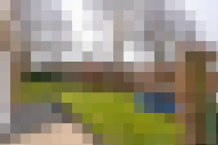 Ecliptica 31 Loon op Zand thumbnail 49