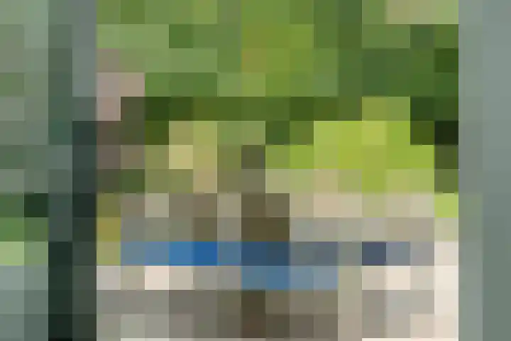 Ecliptica 37 Loon op Zand thumbnail 45