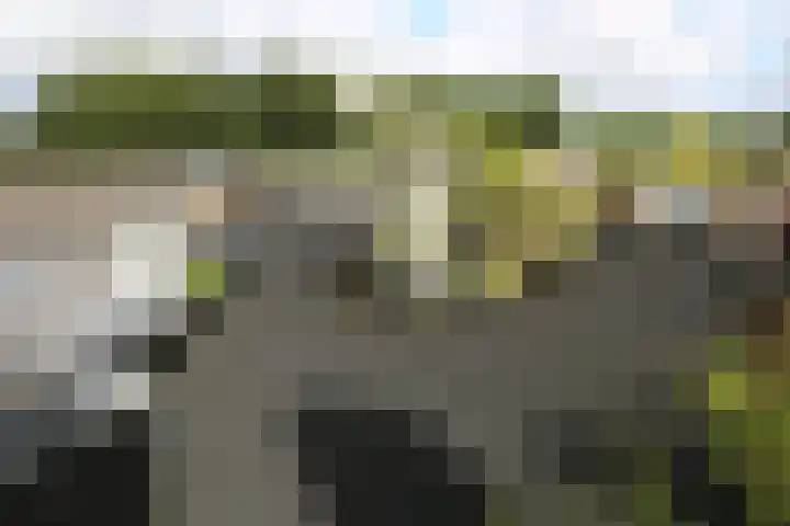 Ecodusweg 49 Delft thumbnail 10