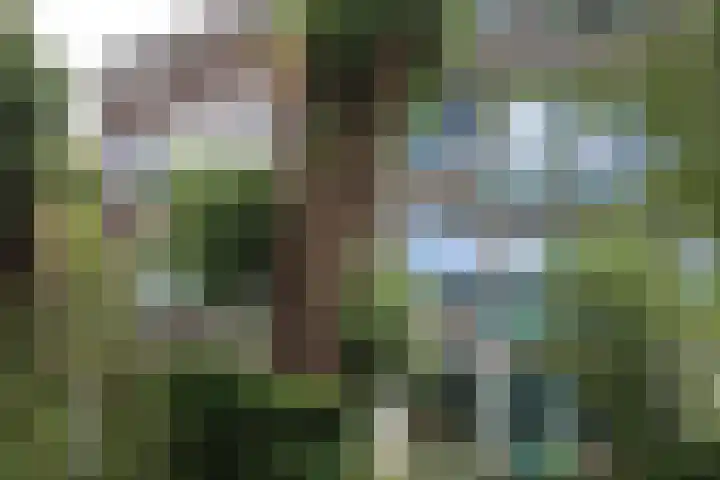 Ecodusweg 49 Delft thumbnail 12