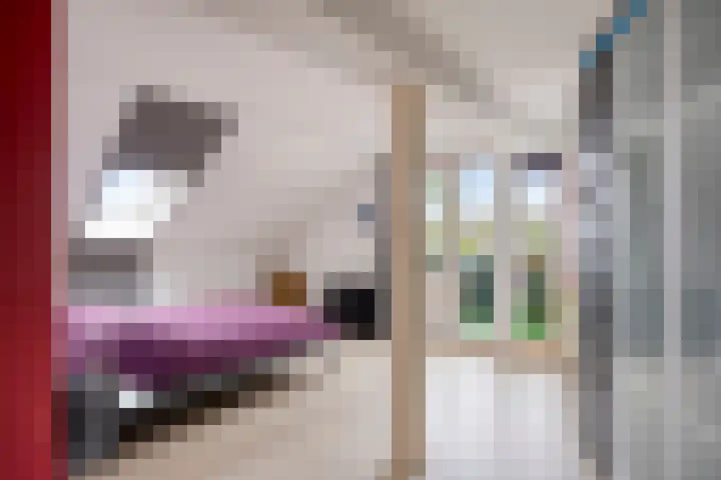 Ecodusweg 73 Delft thumbnail 19