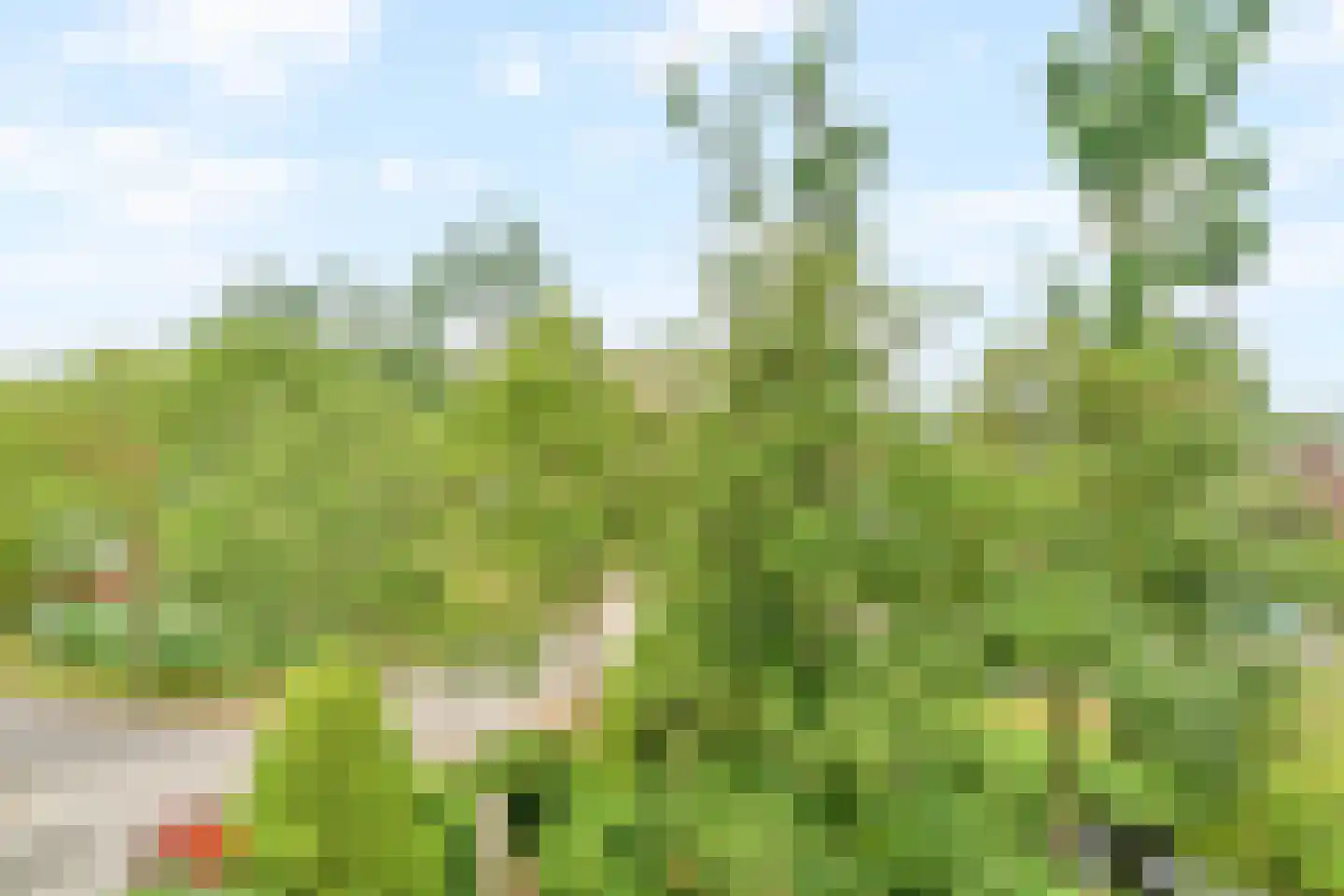 Ecodusweg 77 Delft thumbnail 13