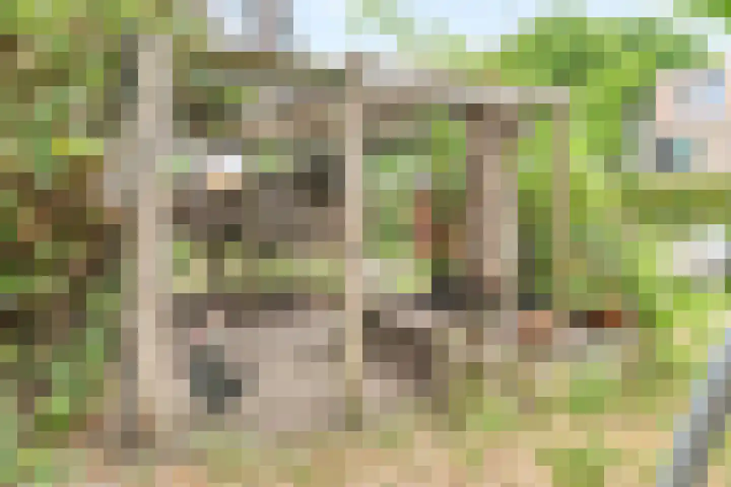 Ecodusweg 77 Delft thumbnail 32