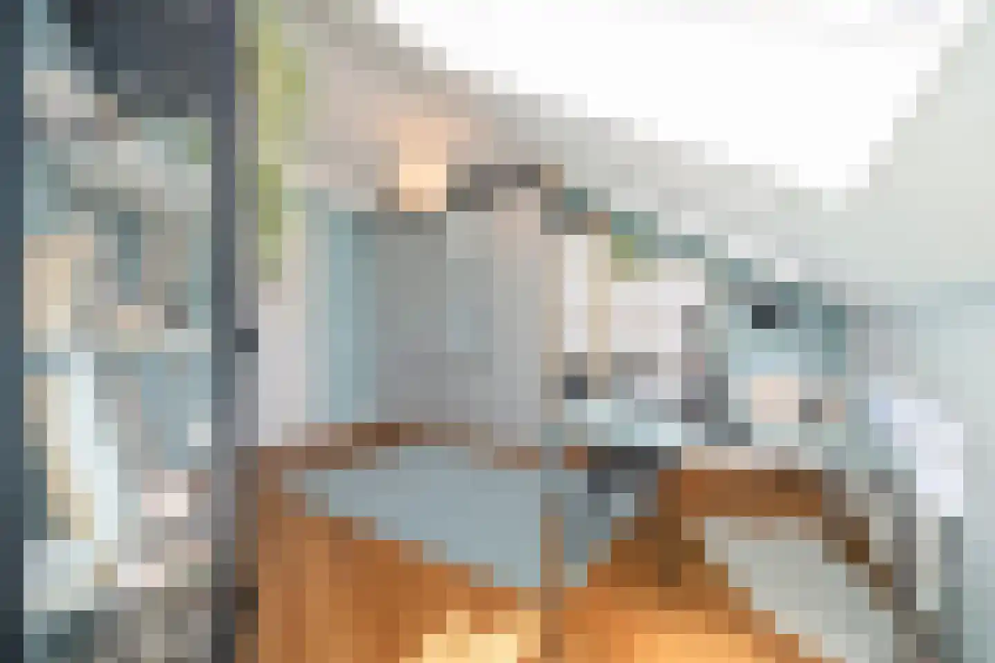 Ecodusweg 89 Delft thumbnail 19