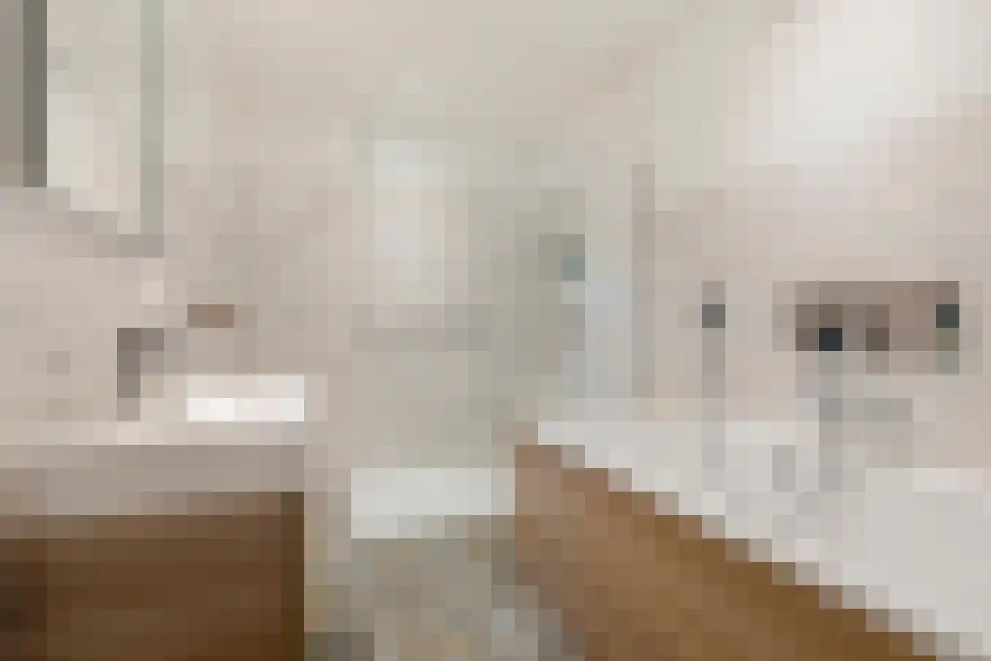 Ecodusweg 89 Delft thumbnail 4