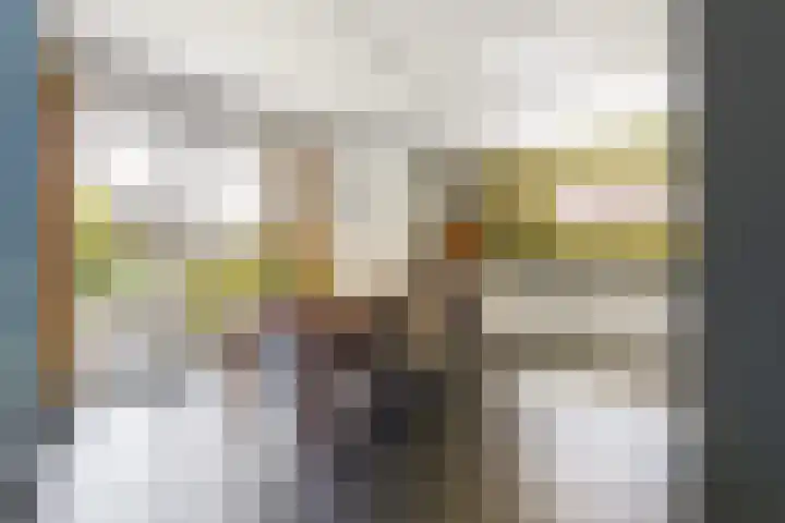Economenlaan 8 Tilburg thumbnail 16
