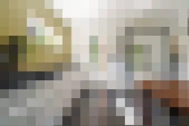 Economenlaan 8 Tilburg thumbnail 20