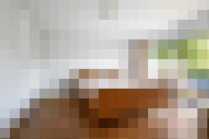Economenlaan 8 Tilburg thumbnail 23
