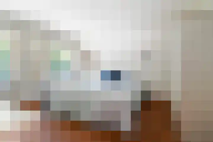 Economenlaan 8 Tilburg thumbnail 28
