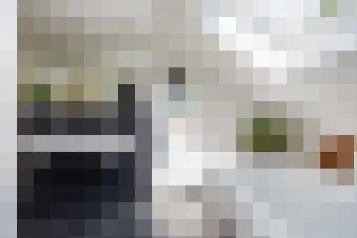 Economenlaan 8 Tilburg thumbnail 32