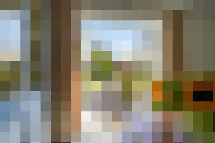 Economenlaan 8 Tilburg thumbnail 4