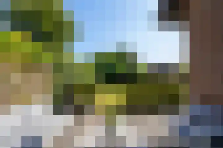Economenlaan 8 Tilburg thumbnail 41