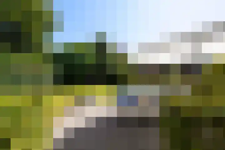 Economenlaan 8 Tilburg thumbnail 42