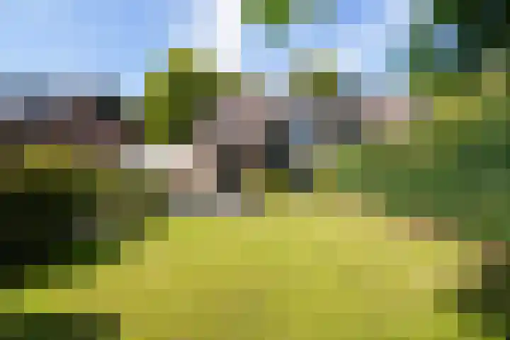 Economenlaan 8 Tilburg thumbnail 43