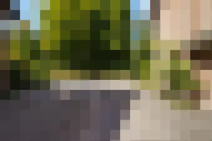 Economenlaan 8 Tilburg thumbnail 45
