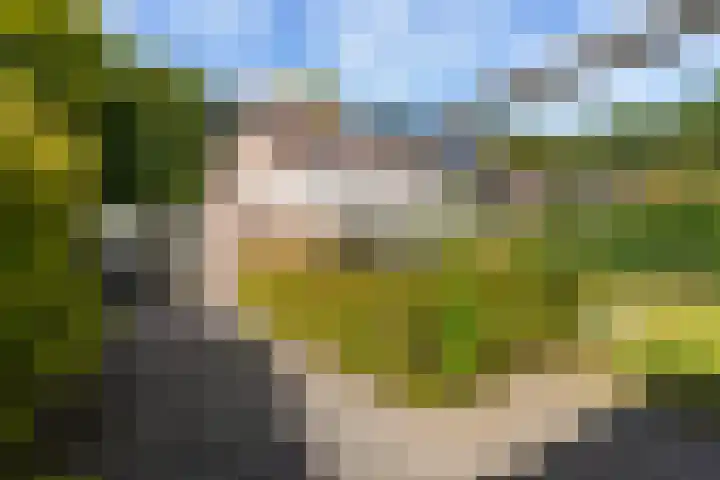Economenlaan 8 Tilburg thumbnail 46
