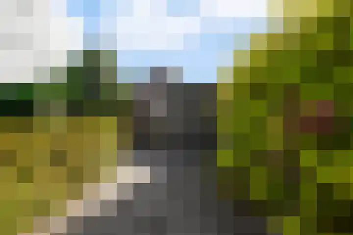 Economenlaan 8 Tilburg thumbnail 47