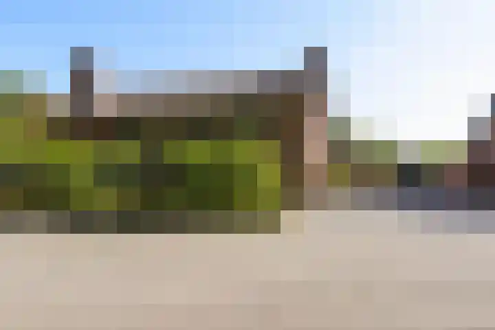 Economenlaan 8 Tilburg thumbnail 6