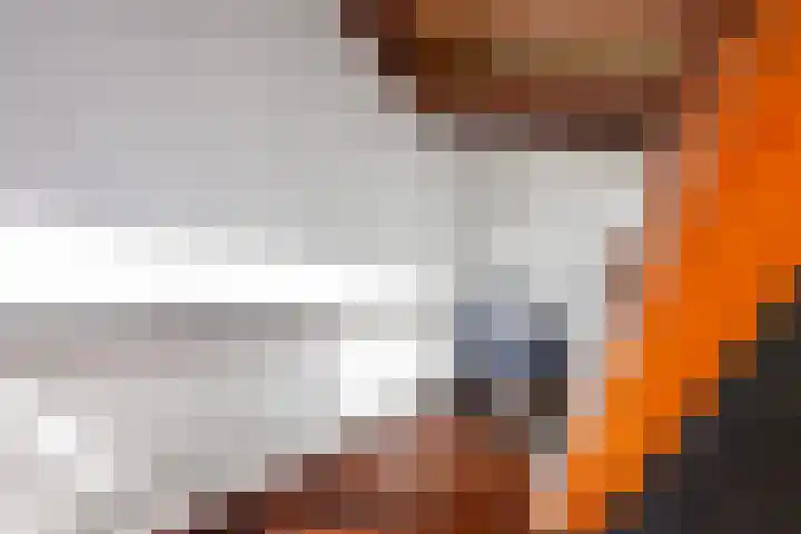 Economenlaan 8 Tilburg thumbnail 8