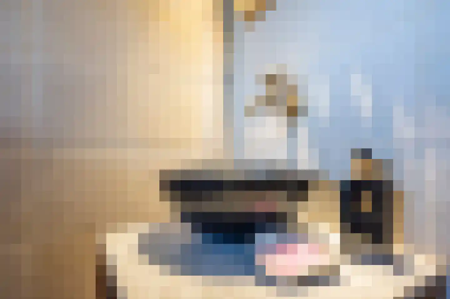 Ecrevissestraat 22 Obbicht thumbnail 14