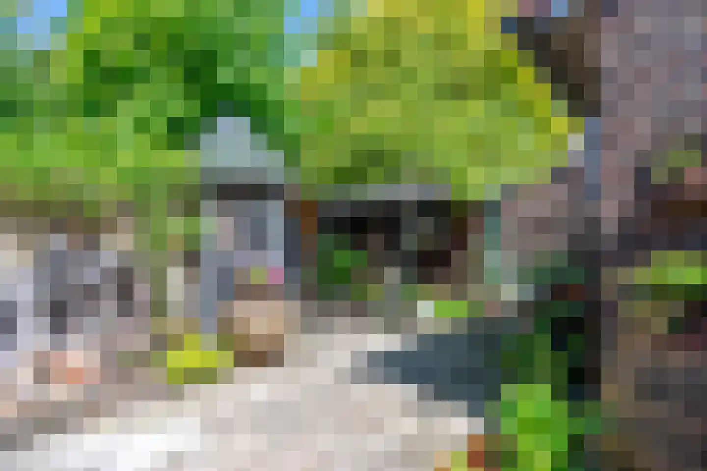 Ecrevissestraat 22 Obbicht thumbnail 31