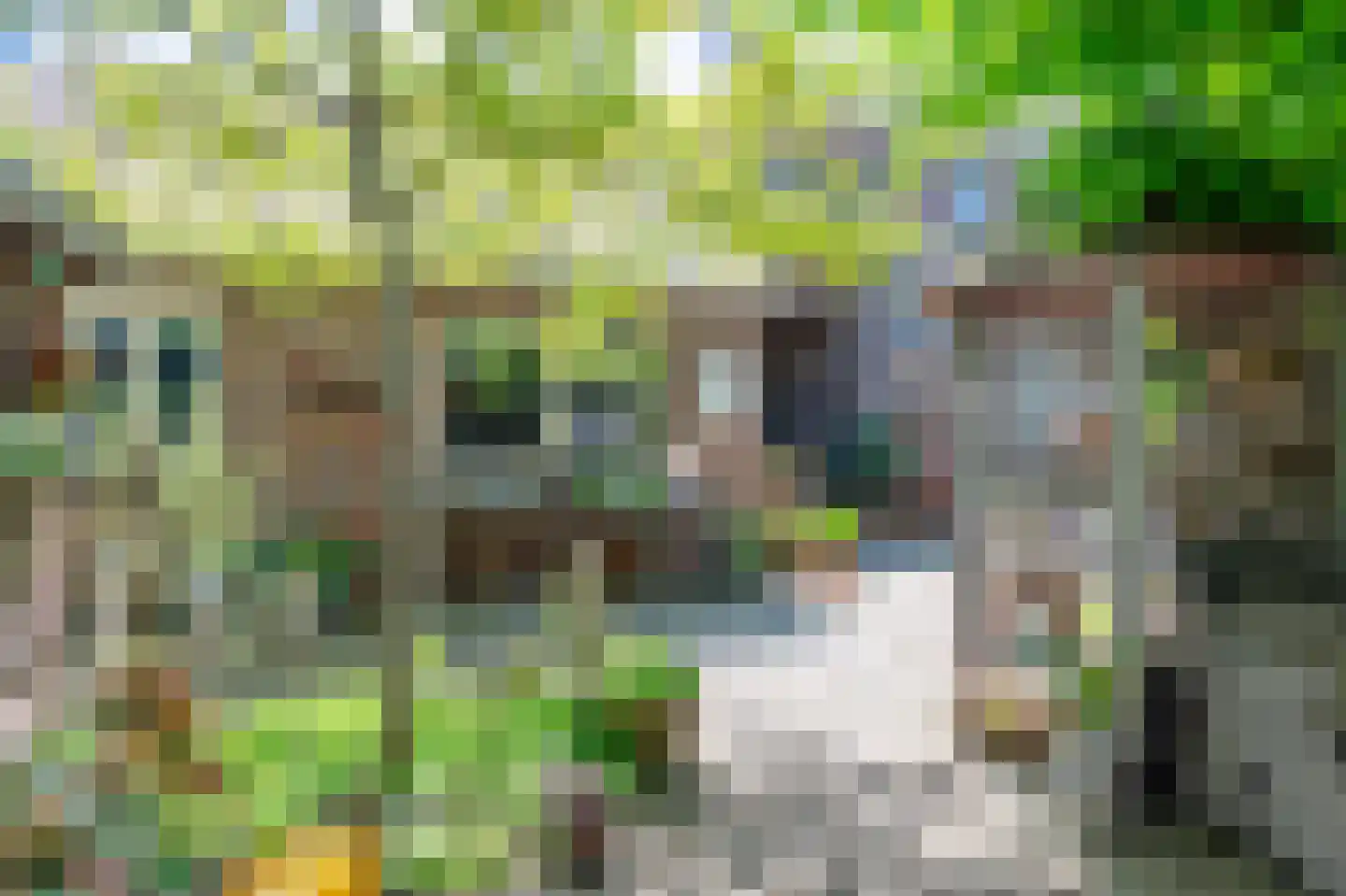 Ecrevissestraat 22 Obbicht thumbnail 36