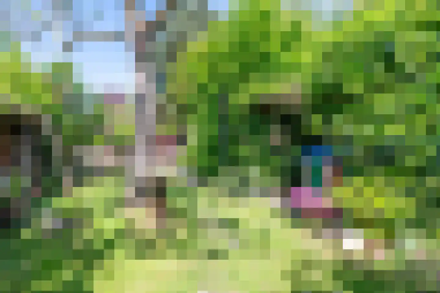 Ecrevissestraat 22 Obbicht thumbnail 37