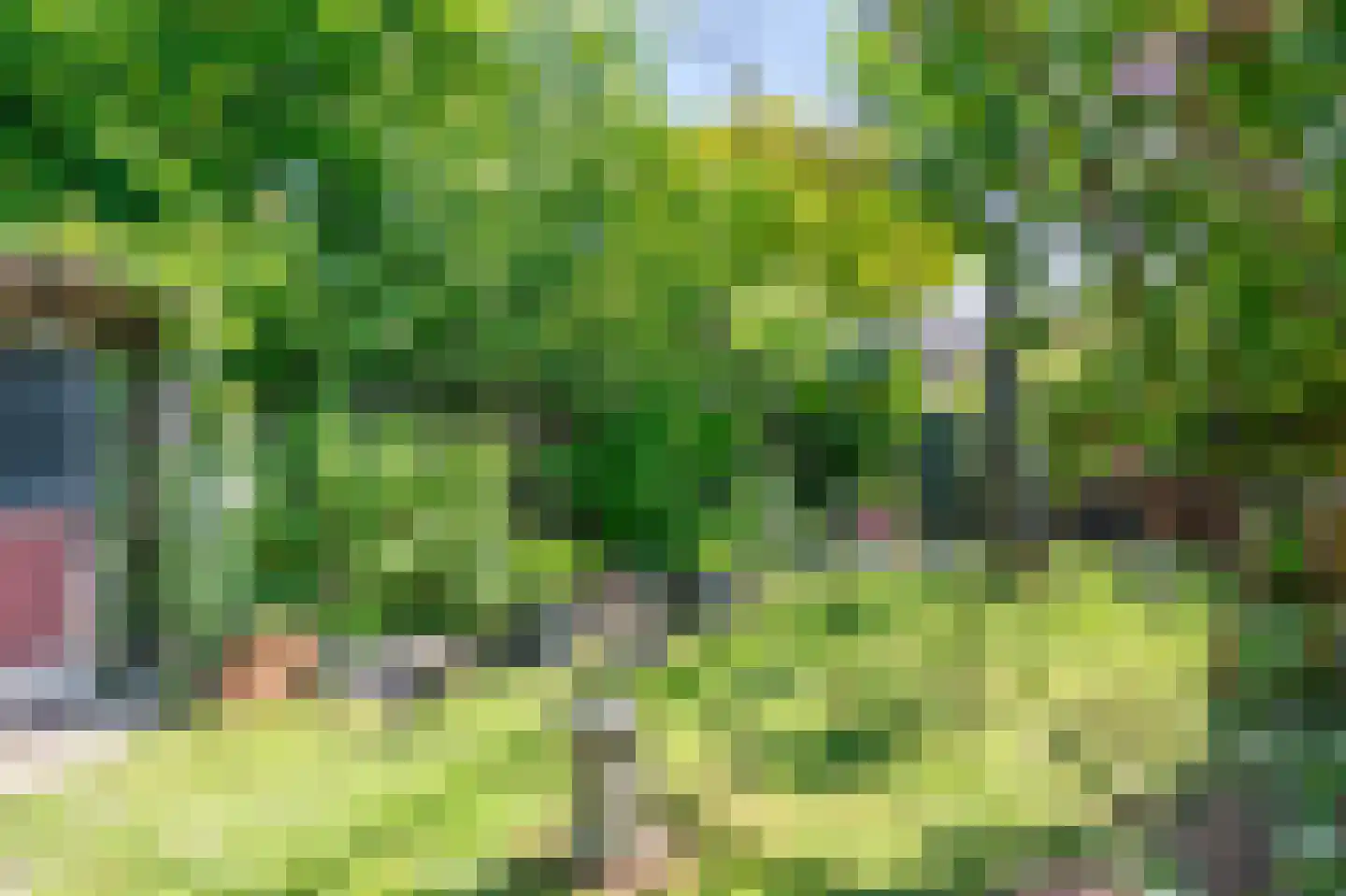 Ecrevissestraat 22 Obbicht thumbnail 39