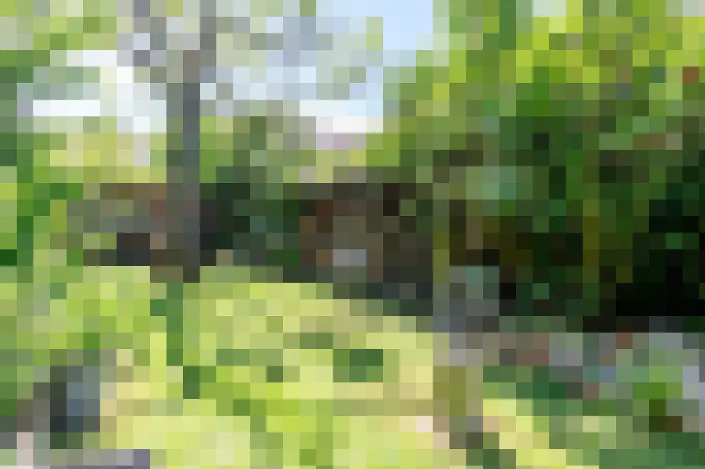 Ecrevissestraat 22 Obbicht thumbnail 40