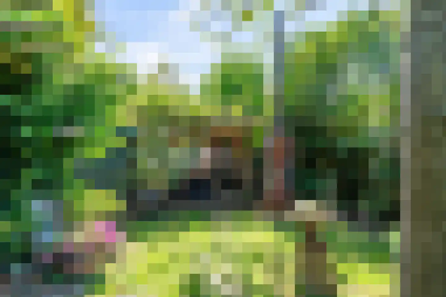Ecrevissestraat 22 Obbicht thumbnail 41