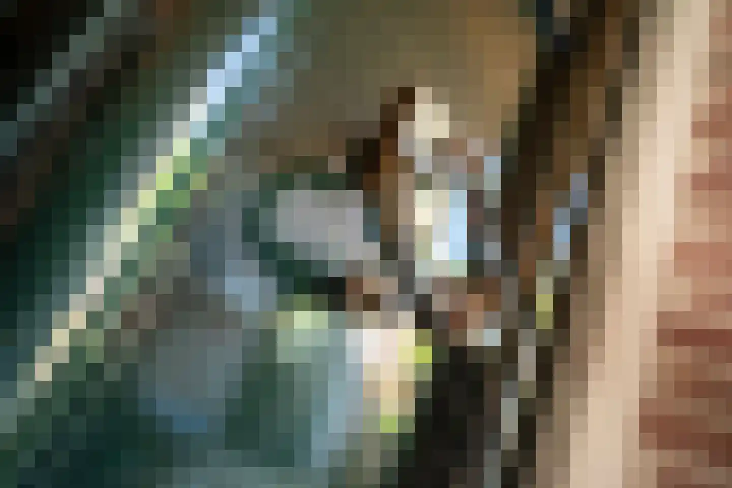 Ecrevissestraat 22 Obbicht thumbnail 8