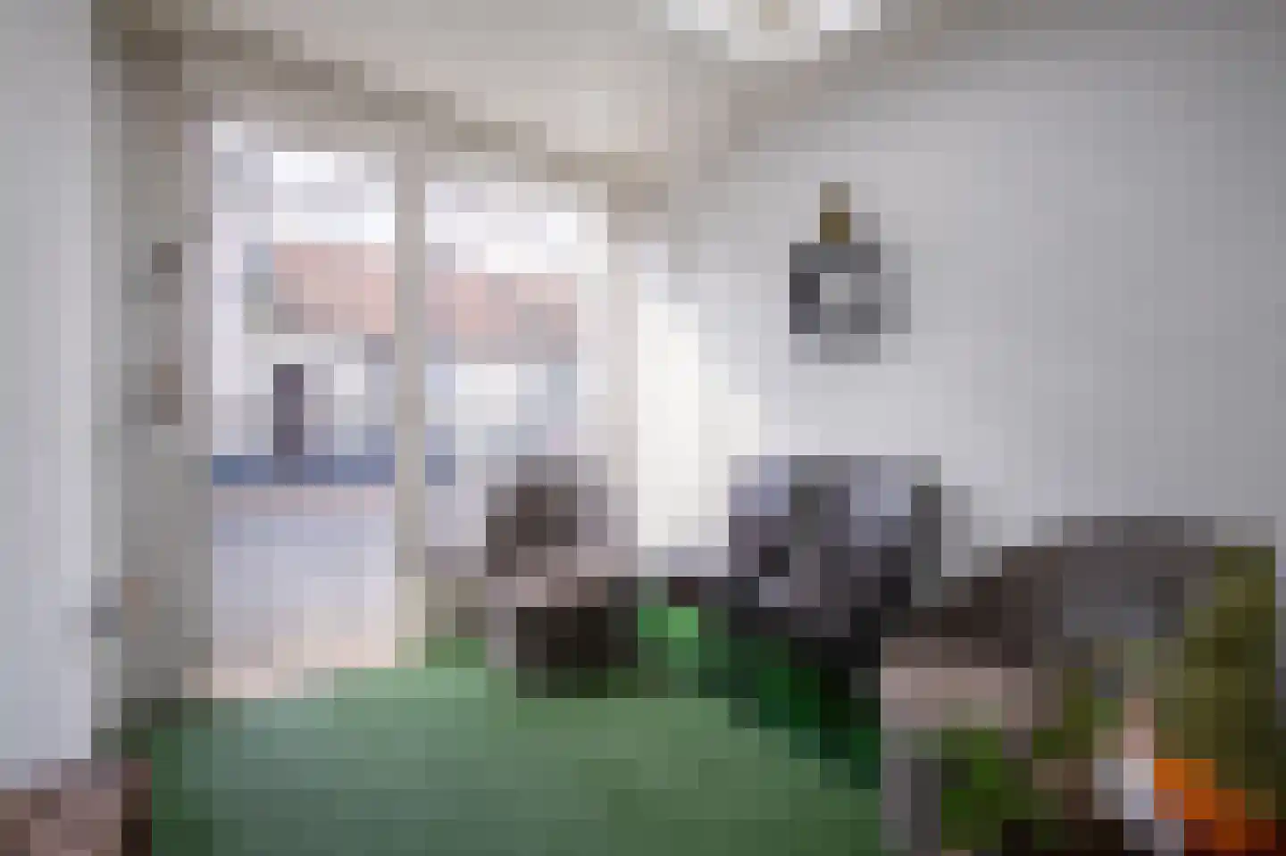 Ecrevissestraat 24 Obbicht thumbnail 10
