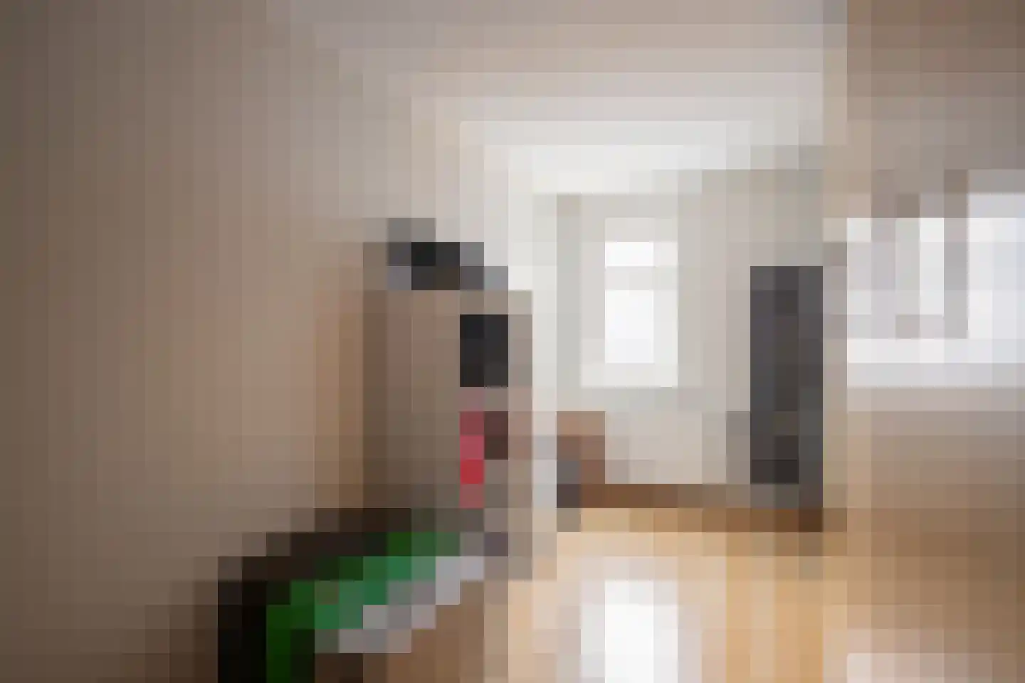 Ecrevissestraat 24 Obbicht thumbnail 16