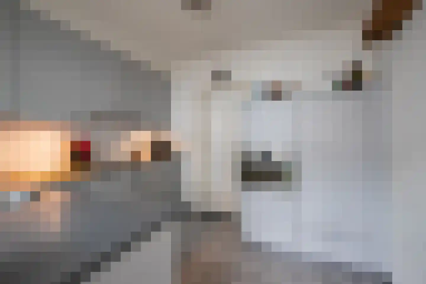 Ecrevissestraat 24 Obbicht thumbnail 8